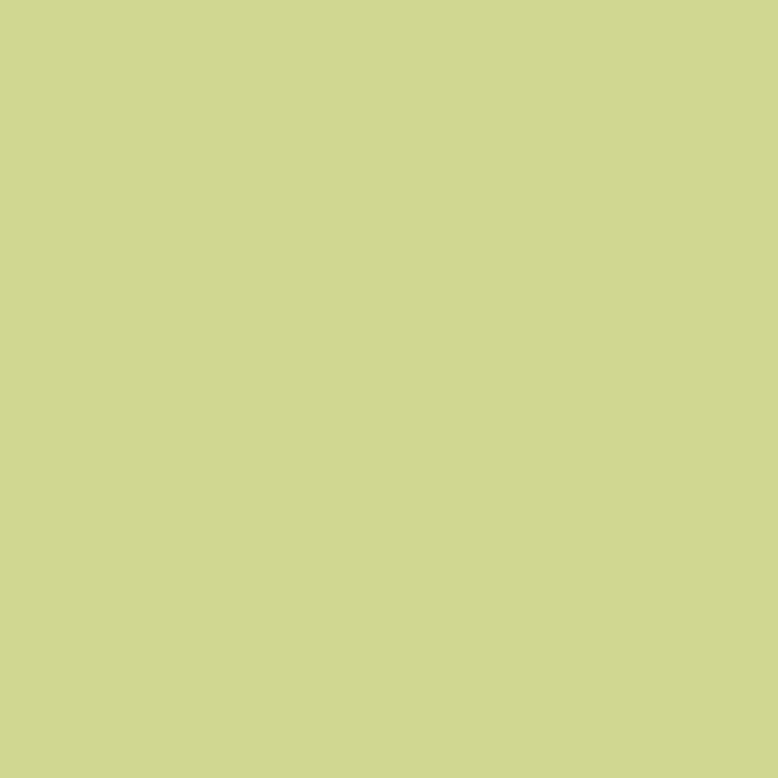 BRESSER SBP19 Fondale in Carta 1,36 x 11m Verde Tropical