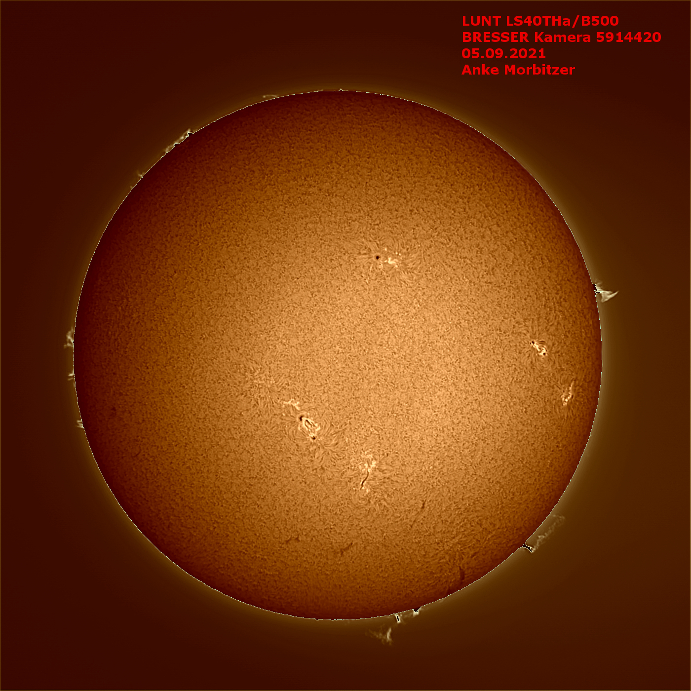 Telescopio solare LUNT LS40THa/B500 H-Alpha