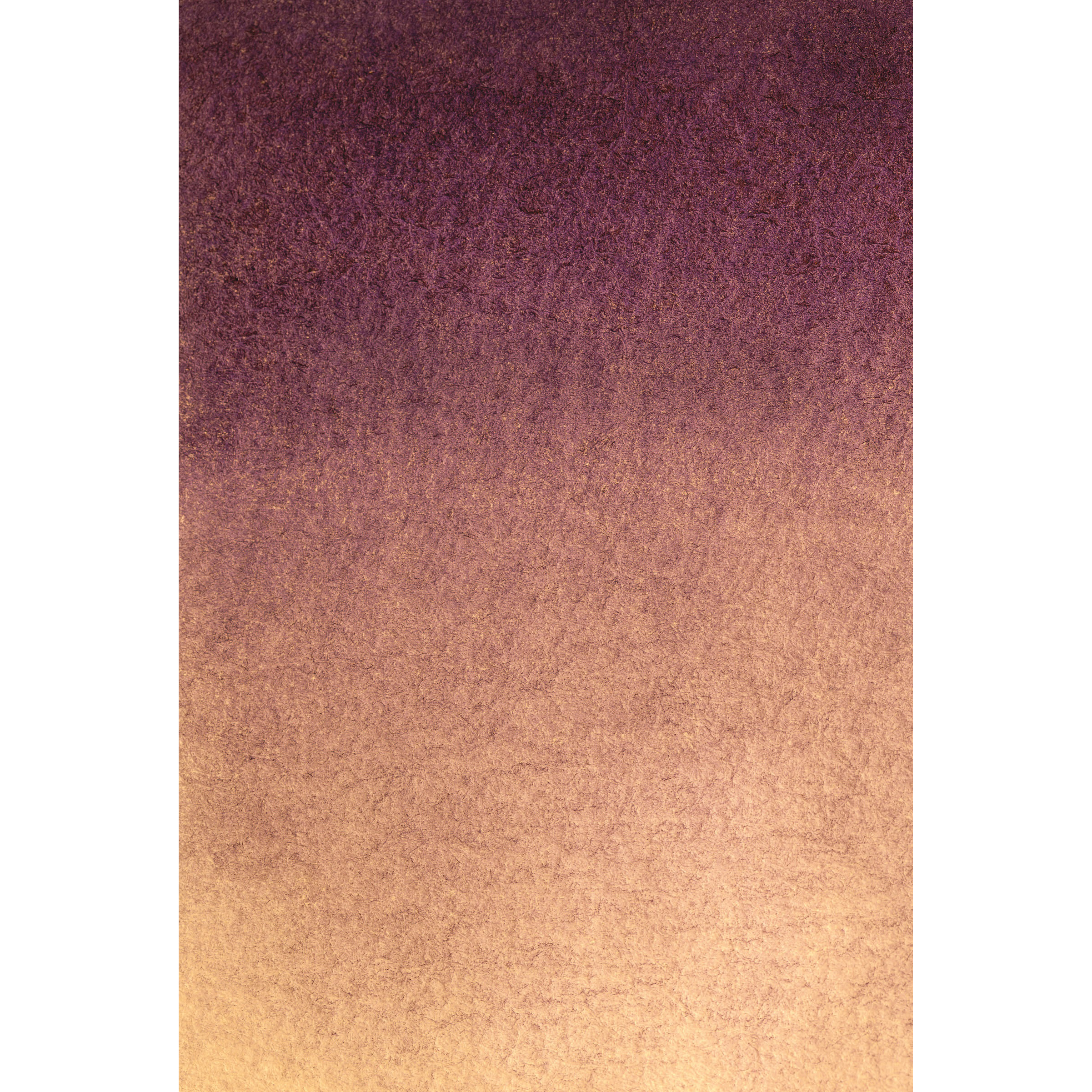 Fondale in Tessuto BRESSER con Motivo fotografico 80 x 120 cm - Viola Beige