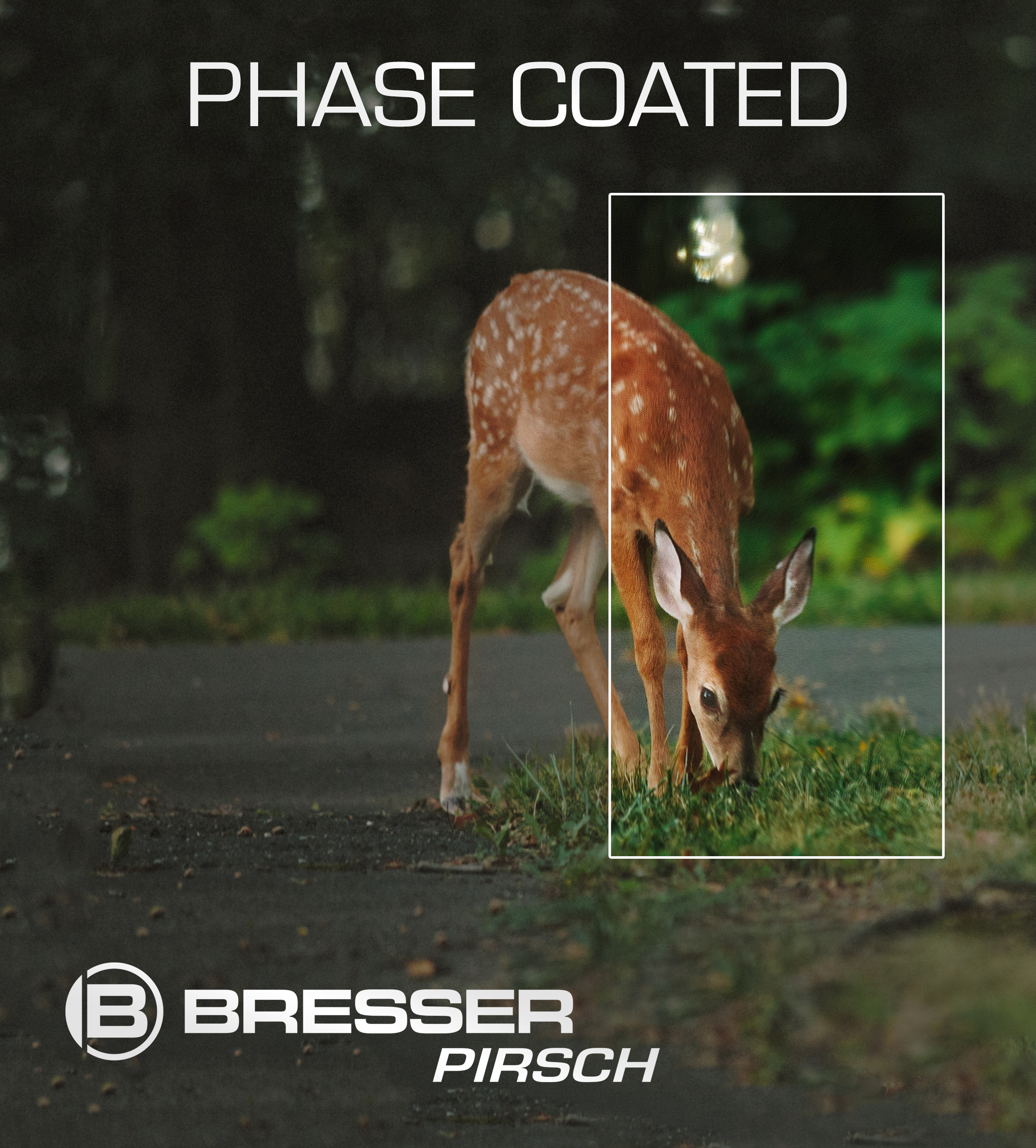 BRESSER Pirsch 8x42 Binocolo con rivestimento P per correzione della fase