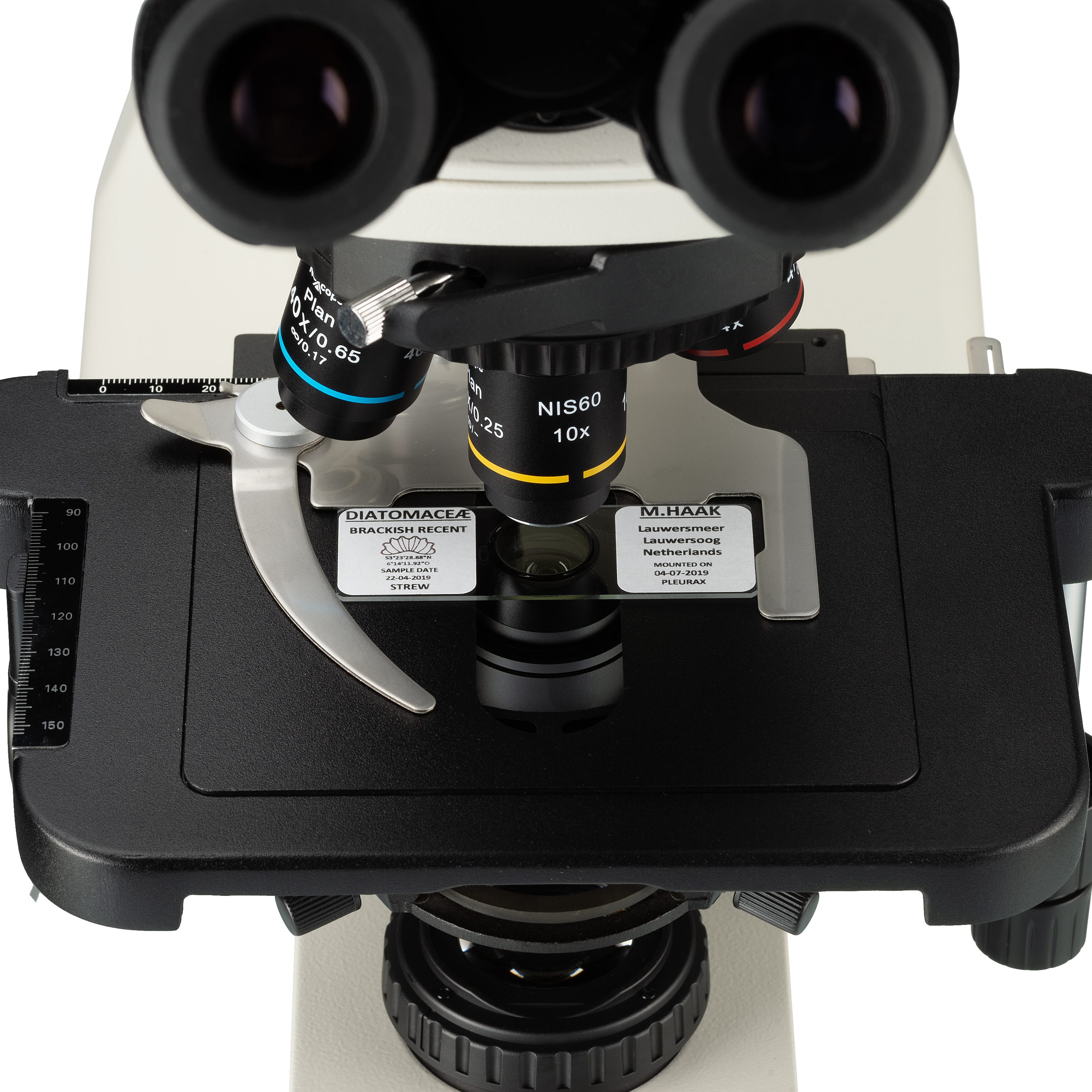 Microscopio biologico verticale Nexcope NE620T per uso professionale