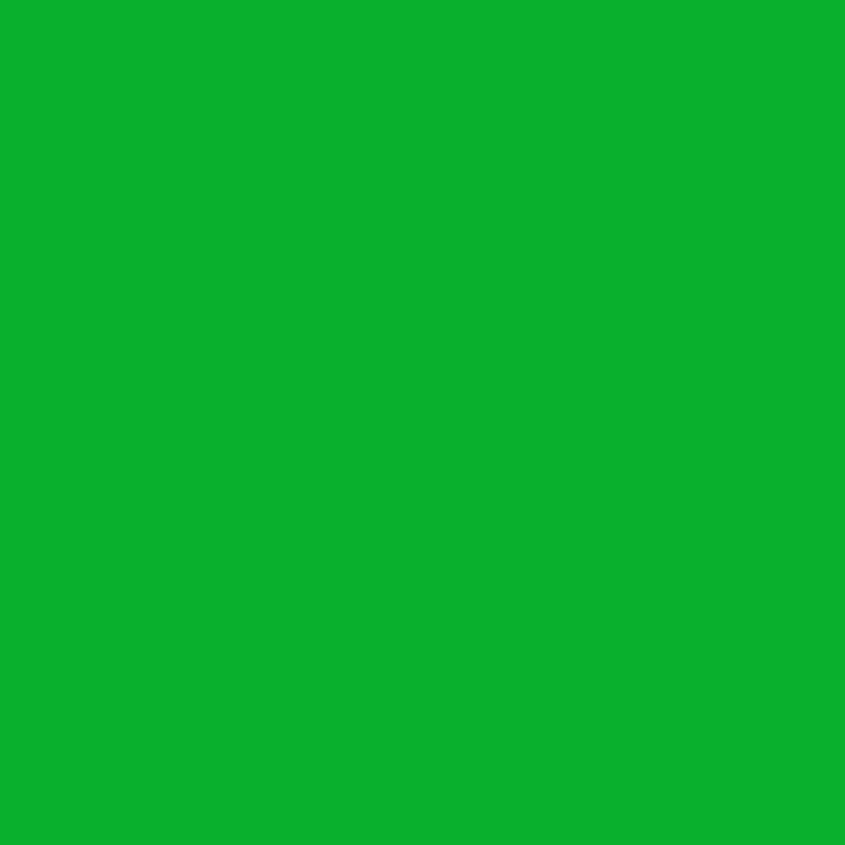 BRESSER SBP10 Fondale in Carta 1,69 x 11m Verde Chromakey