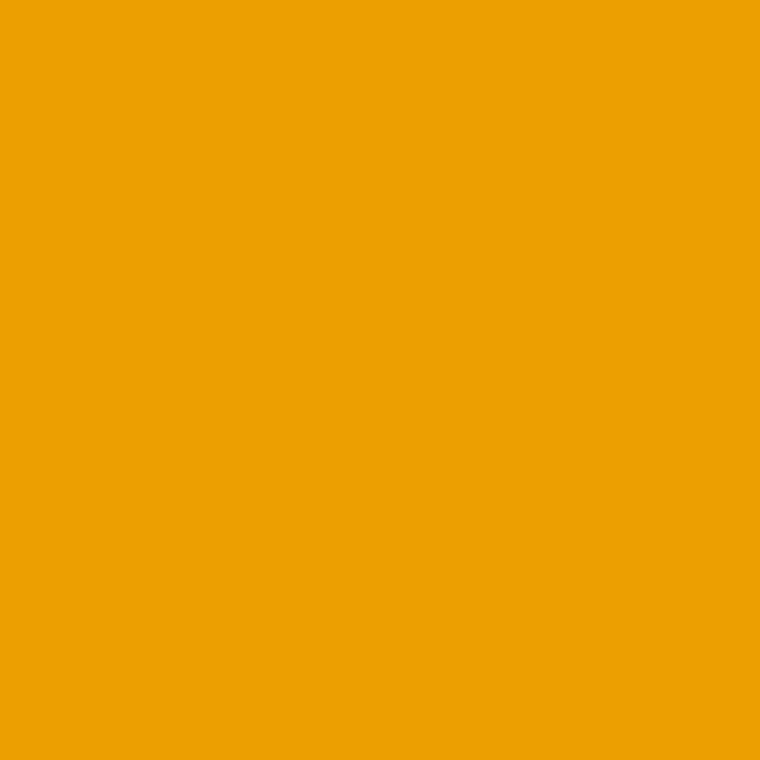 BRESSER SBP14 Fondale in Carta 2,00 x 11m giallo di Ranuncolo