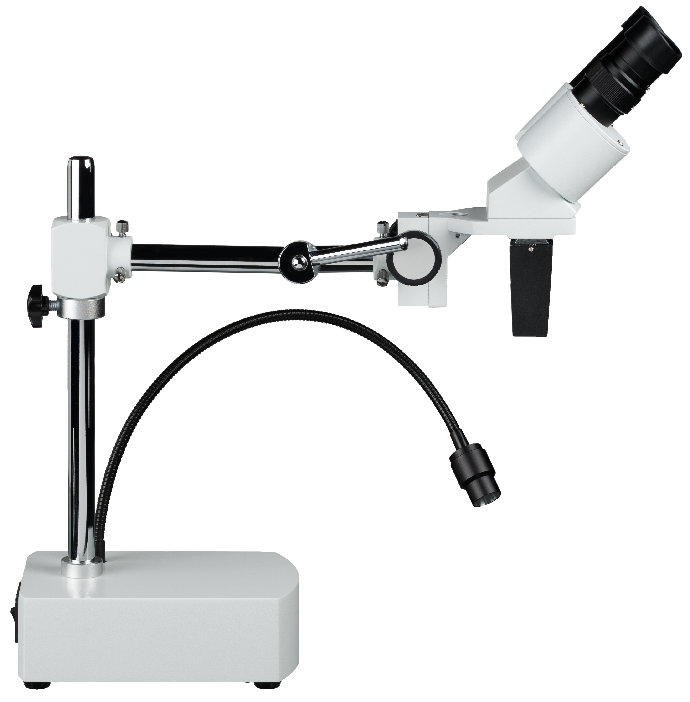 Stereomicroscopio BRESSER Biorit ICD CS LED