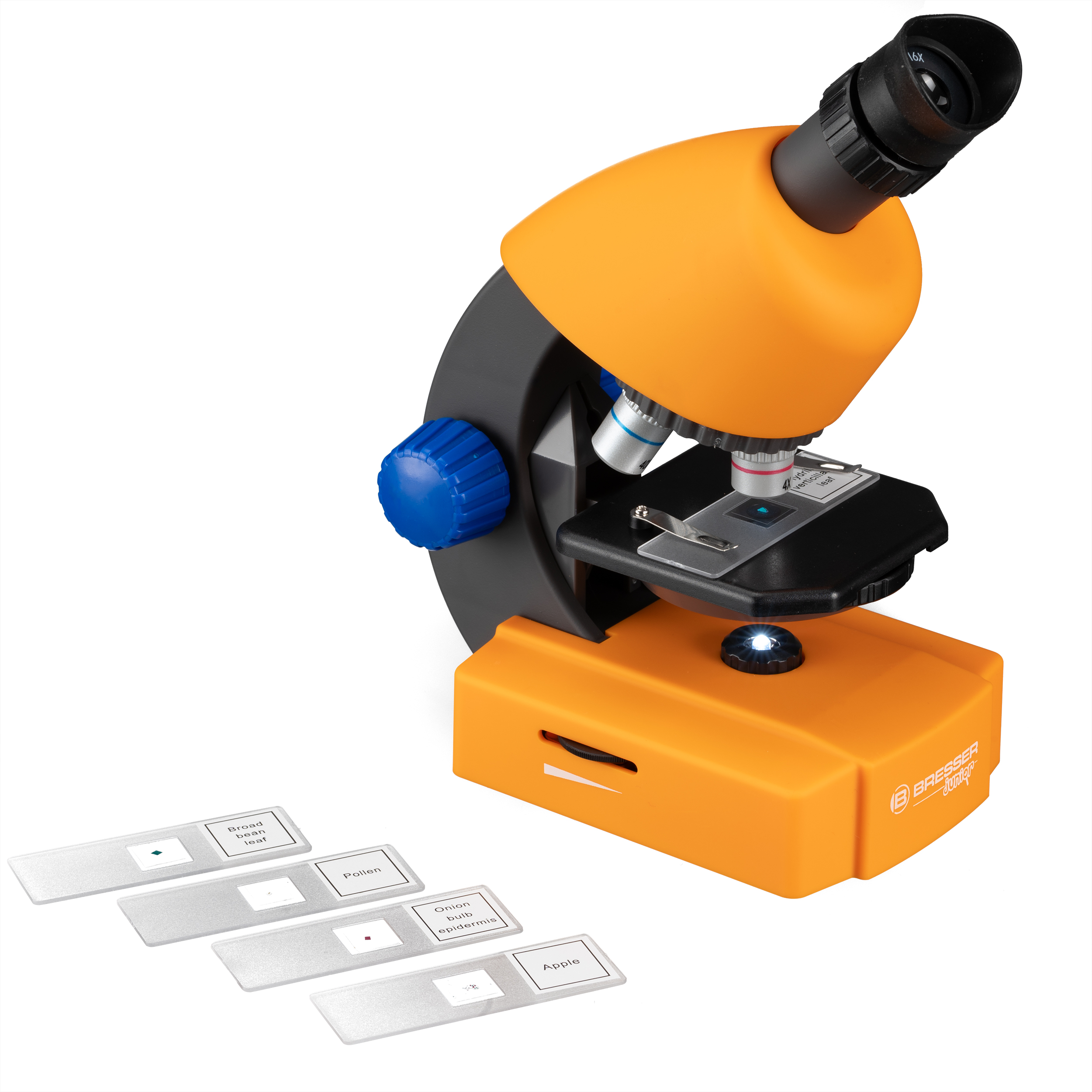 Microscopio BRESSER JUNIOR 40x-640x con accessori e valigetta rigida